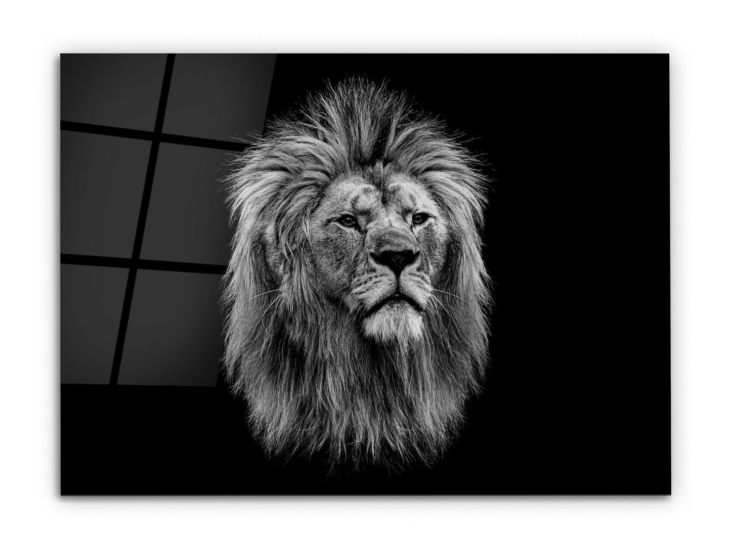 Aslan Cam Tablo - Aslan Portresi Duvar Tablosu