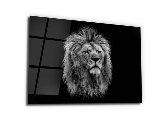 Aslan Cam Tablo - Aslan Portresi Duvar Tablosu