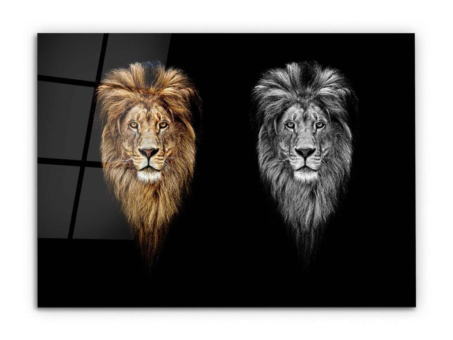 İkili Aslan Portresi Cam Tablo – Modern Duvar Tablosu