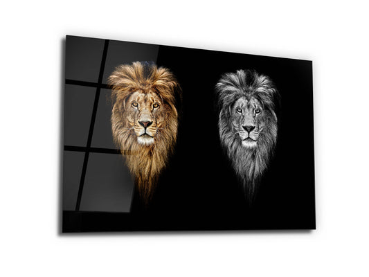 İkili Aslan Portresi Cam Tablo – Modern Duvar Tablosu