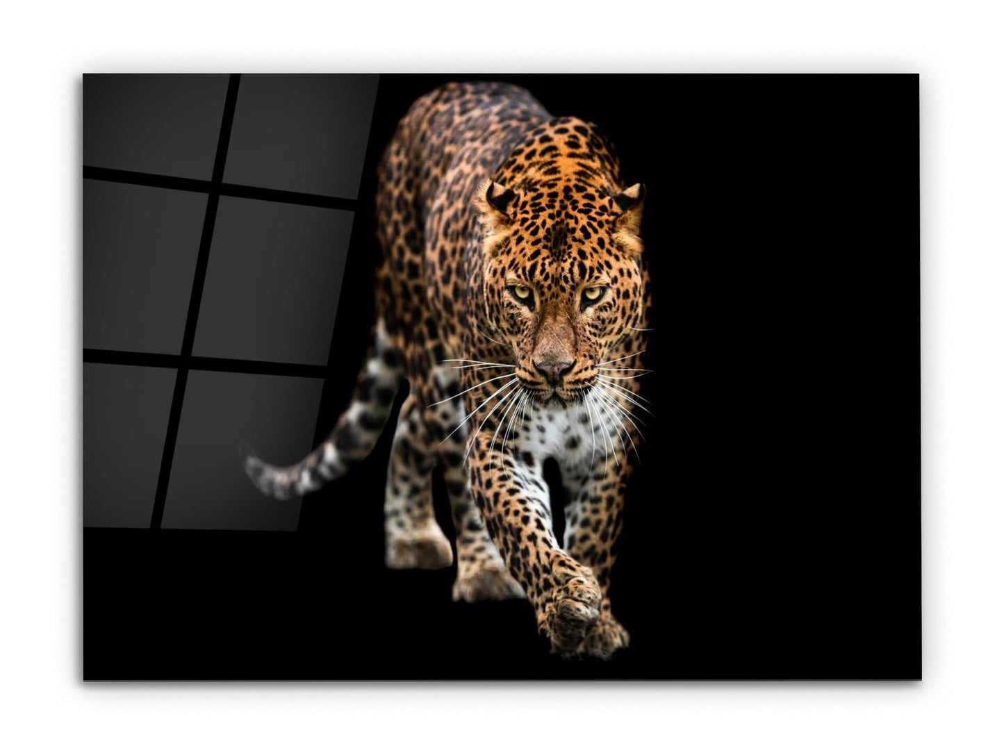 Leopar Cam Tablo - Hayvan Duvar Tablosu