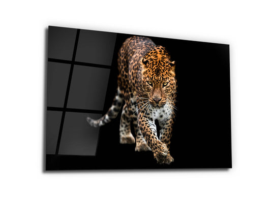 Leopar Cam Tablo - Hayvan Duvar Tablosu