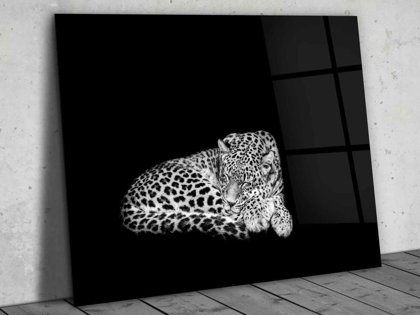 Uyuyan Leopar Cam Tablo – Siyah Beyaz Minimalist Hayvan Tablosu