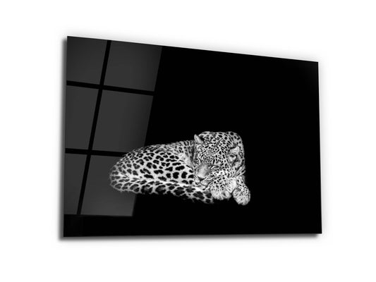 Uyuyan Leopar Cam Tablo – Siyah Beyaz Minimalist Hayvan Tablosu