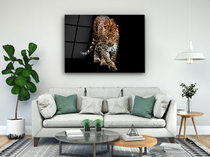 Leopar Cam Tablo - Hayvan Duvar Tablosu