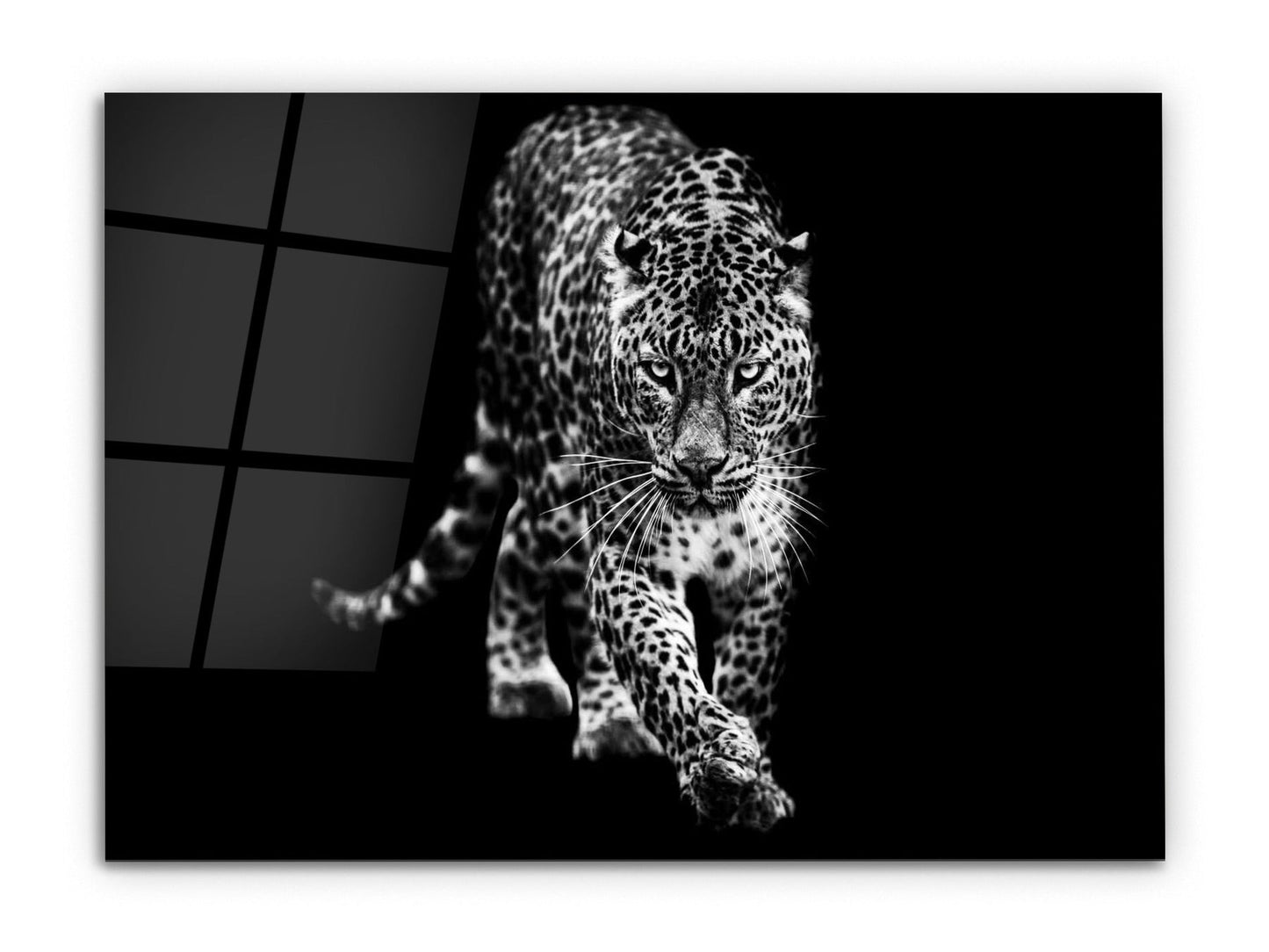 Siyah Beyaz Leopar Cam Tablo - Hayvan Duvar Dekoru