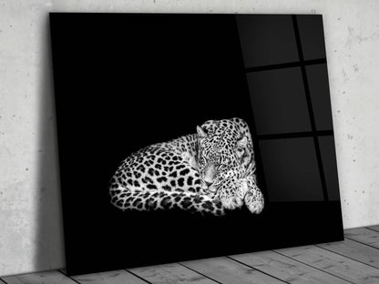 Uyuyan Leopar Cam Tablo – Siyah Beyaz Minimalist Hayvan Tablosu