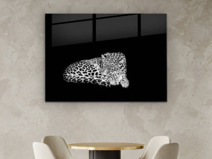 Uyuyan Leopar Cam Tablo – Siyah Beyaz Minimalist Hayvan Tablosu