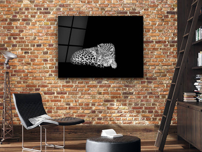 Uyuyan Leopar Cam Tablo – Siyah Beyaz Minimalist Hayvan Tablosu